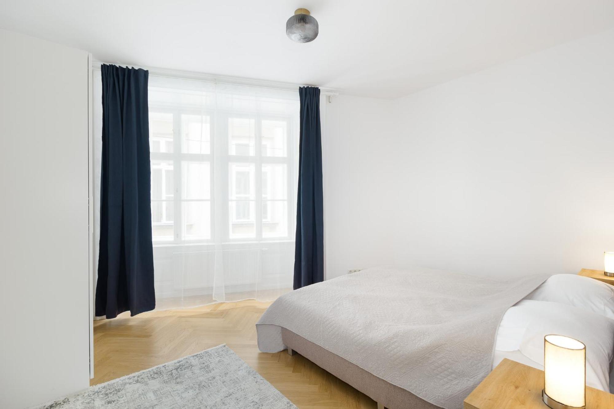 Apartment Ballgasse Luxury Виена Екстериор снимка